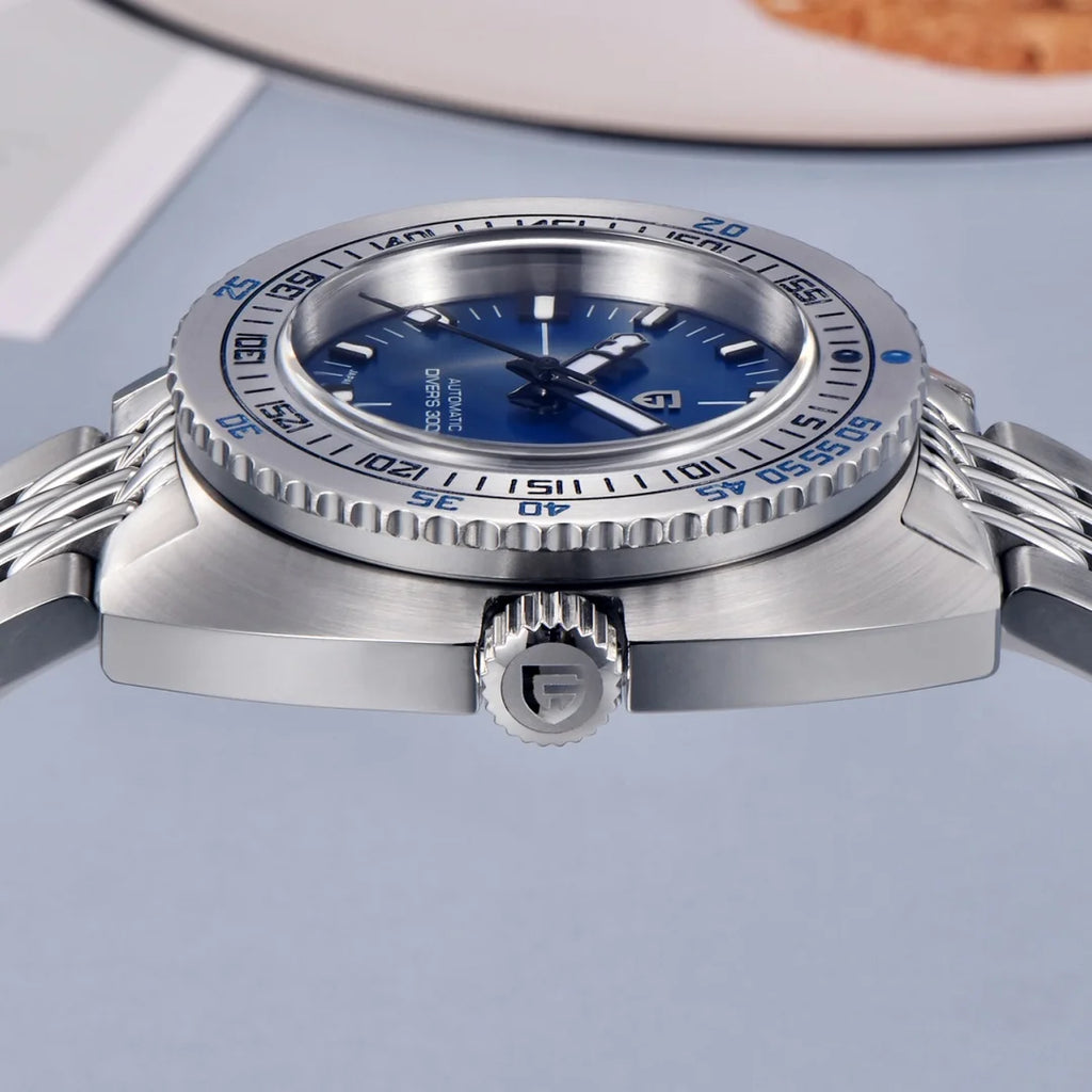 PAGANI DESIGN 2024 New .Men's Automatic Mechanical Divers Watches NH38 Sapphire Stainless Steel 300m Waterproof AR Watch for Men
